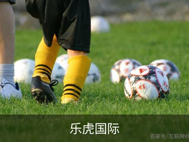 乐虎国际(lehu)中国官方网站
